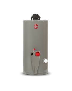 Boiler Calentador De Agua Rheem 1 Servicio Gas Lp 38L